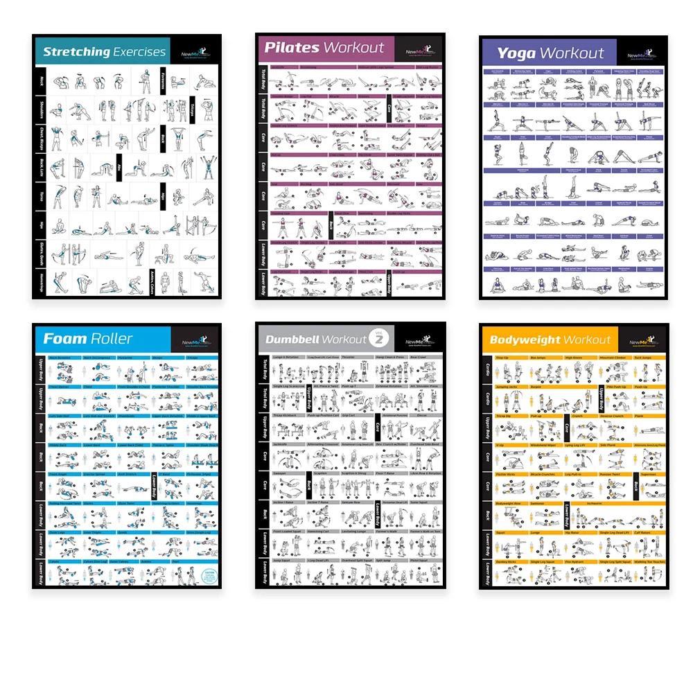 Body Exercise Training Chart W - Home Gym Routine review and price